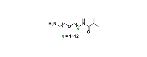 Amino-PEGn-methacrylamide