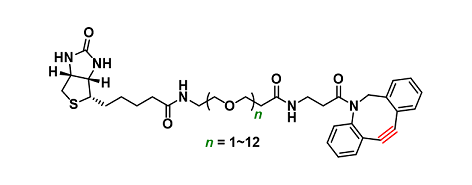 Biotin-PEGn-DBCO