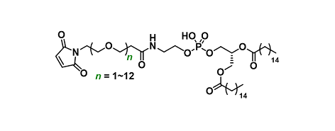 DPPE-PEGn-MAL