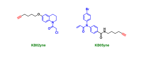 Targeted Cysteine Reconnaissance Molecules（靶向半胱氨酸的侦查分子）