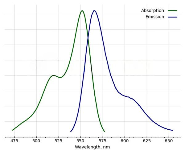 AF 555 NHS ester's absorption and emission spectra